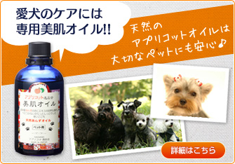 美肌オイル(ペット用) - 愛犬のケアには専用美肌オイル!!